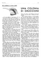 giornale/LO10010767/1938/unico/00001285