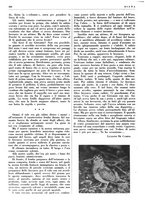 giornale/LO10010767/1938/unico/00001338