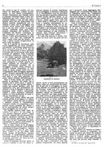 giornale/LO10010767/1946/unico/00000014