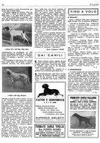 giornale/LO10010767/1946/unico/00000020
