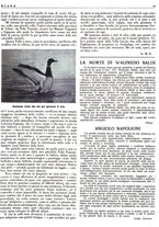 giornale/LO10010767/1946/unico/00000133