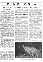 giornale/LO10010767/1946/unico/00000197