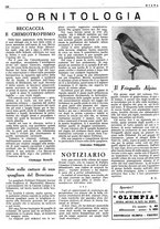 giornale/LO10010767/1946/unico/00000346