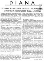 giornale/LO10010767/1946/unico/00000393