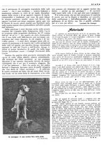 giornale/LO10010767/1946/unico/00000506