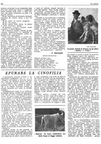 giornale/LO10010767/1946/unico/00000632