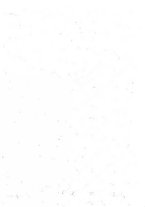 giornale/LO10011321/1925/unico/00000003