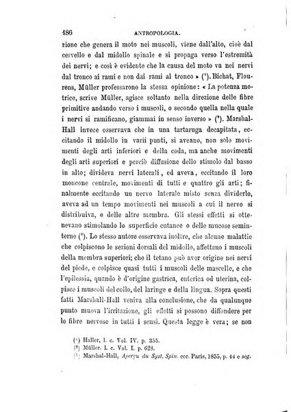 La filosofia delle scuole italiane