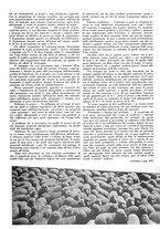 giornale/LO10012159/1934/unico/00000393