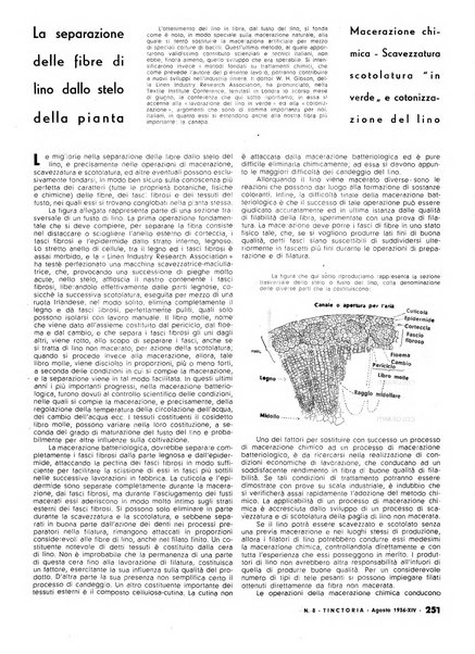 Tinctoria i progressi delle industrie tintorie e tessili