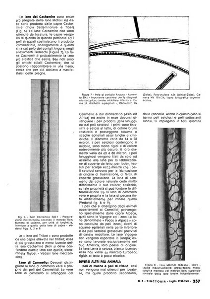 Tinctoria i progressi delle industrie tintorie e tessili