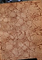 giornale/LO10014449/1911/Ser.4-V.21/00000003