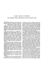giornale/LO10015754/1923/unico/00000084