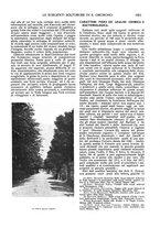 giornale/LO10015754/1923/unico/00000439