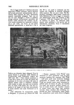 giornale/LO10015754/1925/unico/00000030