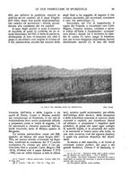 giornale/LO10015754/1926/unico/00000049