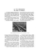 giornale/LO10015754/1927/unico/00000174
