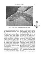 giornale/LO10015867/1929/unico/00000009