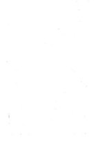 giornale/LO10016231/1925/unico/00000031