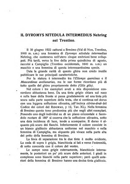 Studi trentini rivista trimestrale della Societa per gli studi trentini