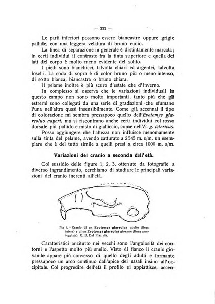 Studi trentini rivista trimestrale della Societa per gli studi trentini