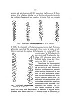 giornale/LO10016487/1924/unico/00000363