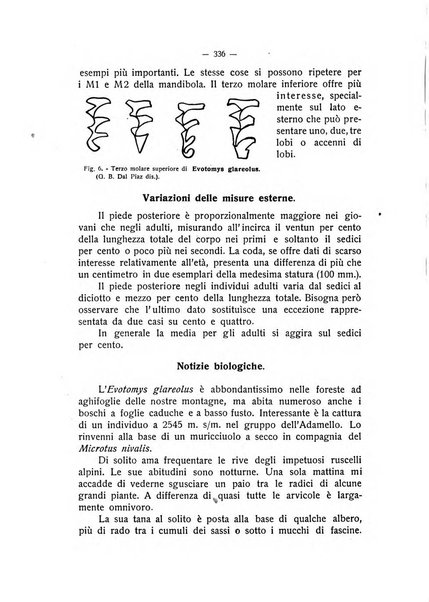 Studi trentini rivista trimestrale della Societa per gli studi trentini