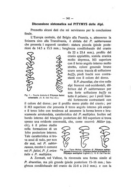 Studi trentini rivista trimestrale della Societa per gli studi trentini