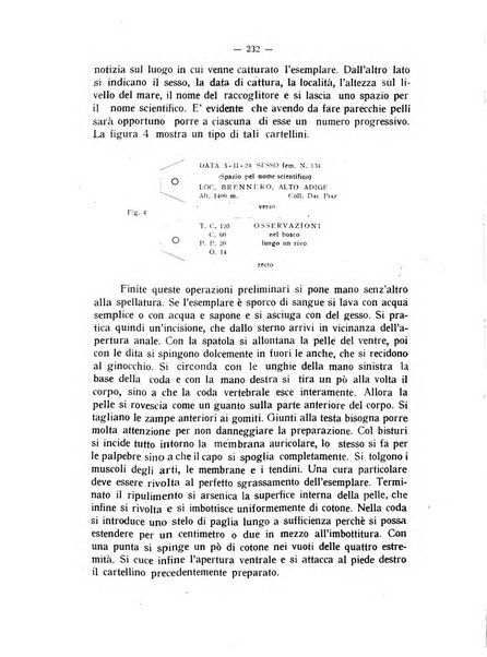 Studi trentini rivista trimestrale della Societa per gli studi trentini