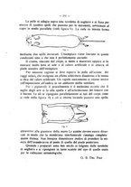 giornale/LO10016487/1925/unico/00000261