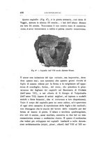 giornale/LO10016597/1891/unico/00000438