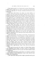 giornale/LO10016597/1903/unico/00000215