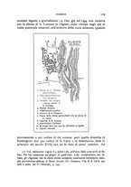 giornale/LO10016597/1906/Ser.4-V.5/00000127