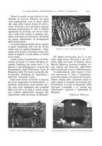 giornale/LO10020440/1930/unico/00000515