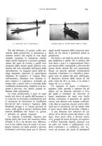 giornale/LO10020440/1931/unico/00000189