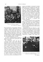 giornale/LO10020440/1931/unico/00000276