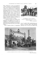 giornale/LO10020440/1931/unico/00000449