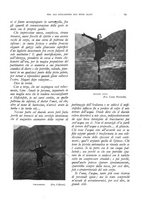 giornale/LO10020440/1932/unico/00000095