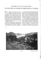 giornale/LO10020440/1932/unico/00000322