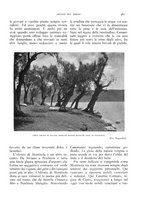 giornale/LO10020440/1932/unico/00000427