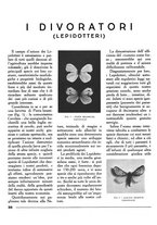 giornale/LO10020440/1933/unico/00000026