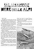 giornale/LO10020440/1934/unico/00000035