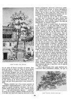 giornale/LO10020440/1934/unico/00000129