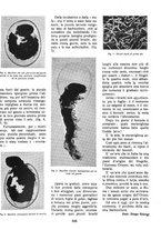 giornale/LO10020440/1936/unico/00000203