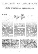 giornale/LO10020440/1940/unico/00000096