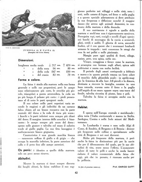 Rivista di Bergamo