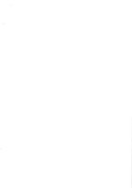 giornale/LO10020526/1868/V.8/00000003