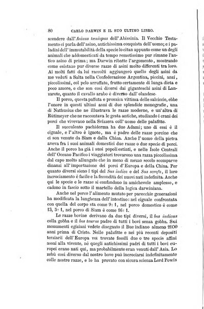 Nuova antologia di scienze, lettere ed arti