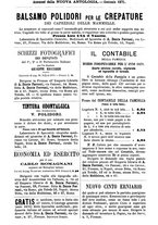 giornale/LO10020526/1871/V.16/00000262