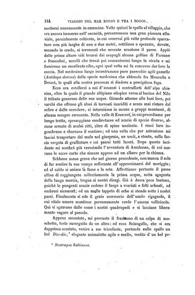 Nuova antologia di scienze, lettere ed arti